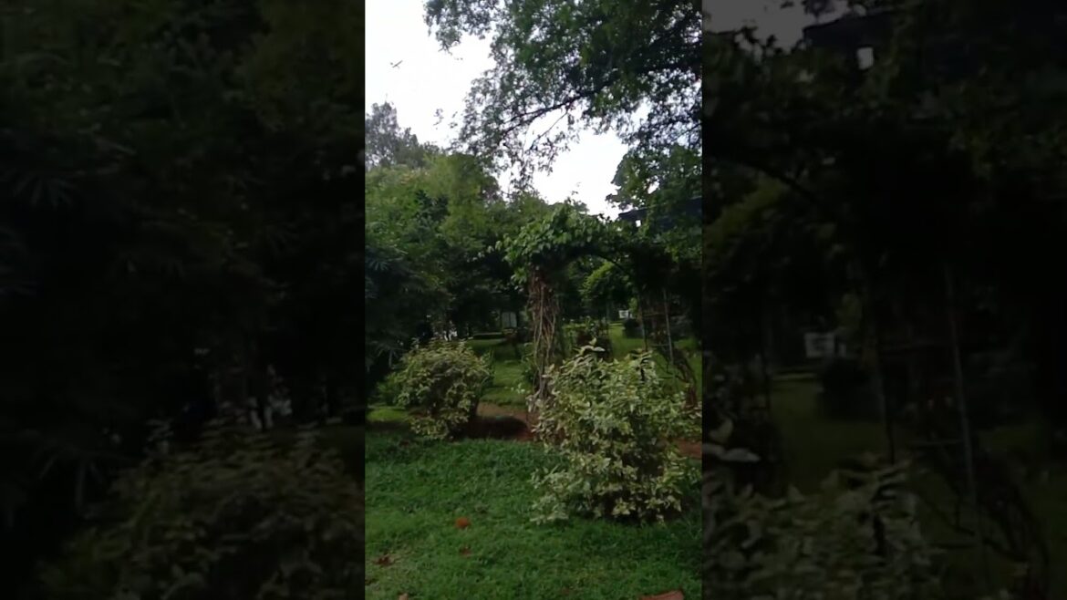 #shorts | wonderful travel vlog sri lanka