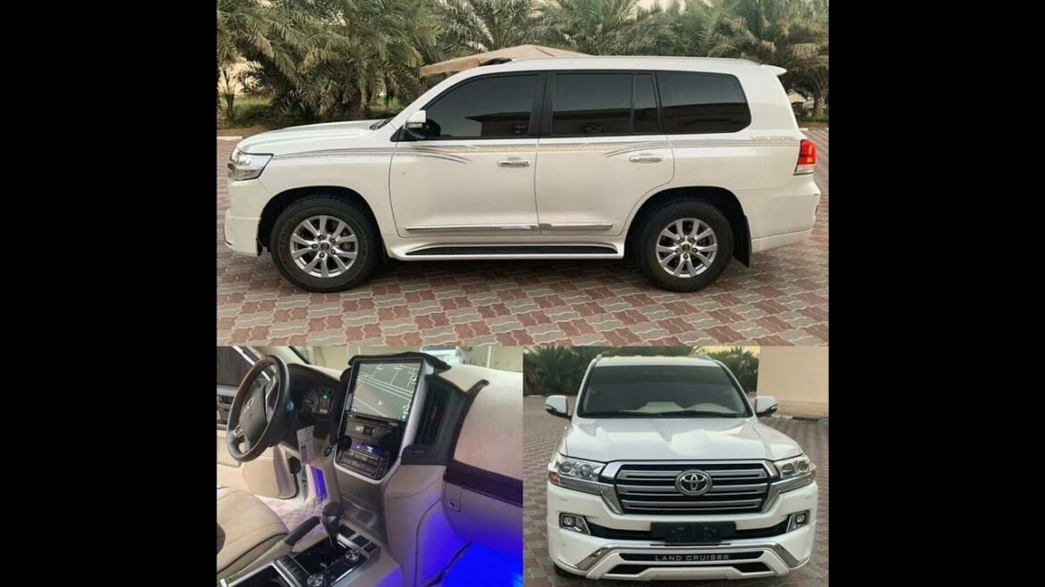 street food vip street view street fighter sabeak hi video me famous streer food india street hot do