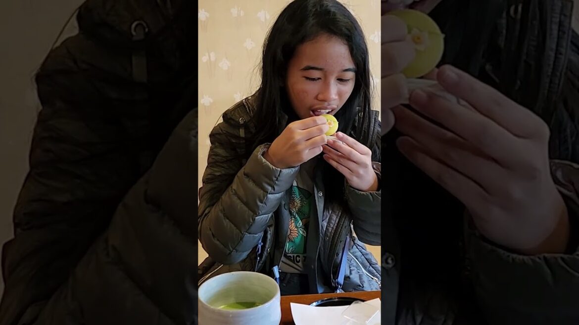 A Day In Shibamata Tokyo Japan!