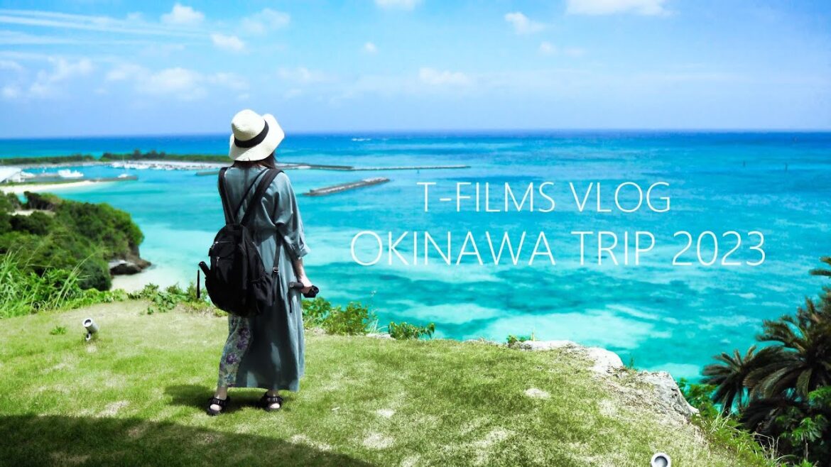 2023年 夏の沖縄旅行 ダイジェスト OKINAWA TRIP 2023 sony RX100 GoPro HERO7 cinematic vlog 2023年 夏の沖縄旅行 ダイジェスト OKINAWA TRIP 2023 sony RX100 GoPro HERO7 cinematic vlog