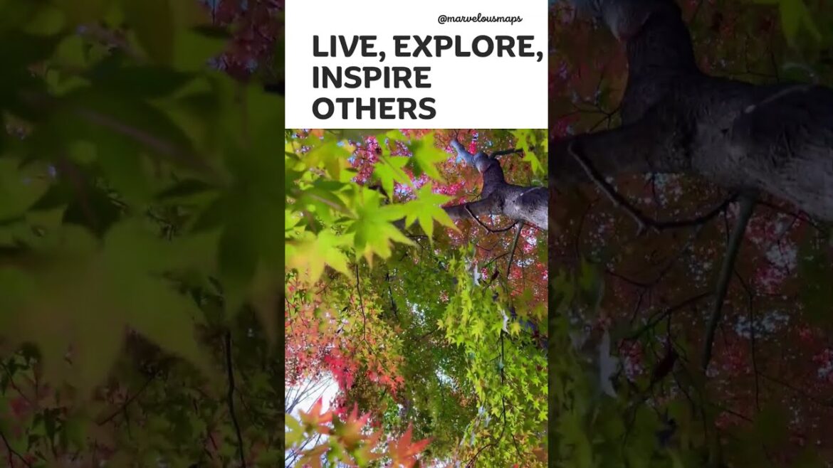 japan travel | travel video |travel vlog | travel thirsty #shorts