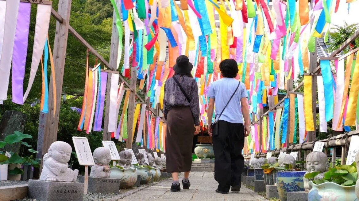 JAPAN TRAVEL VLOG | Tour of Instagram spots and Hamamatsu's specialties in a day.