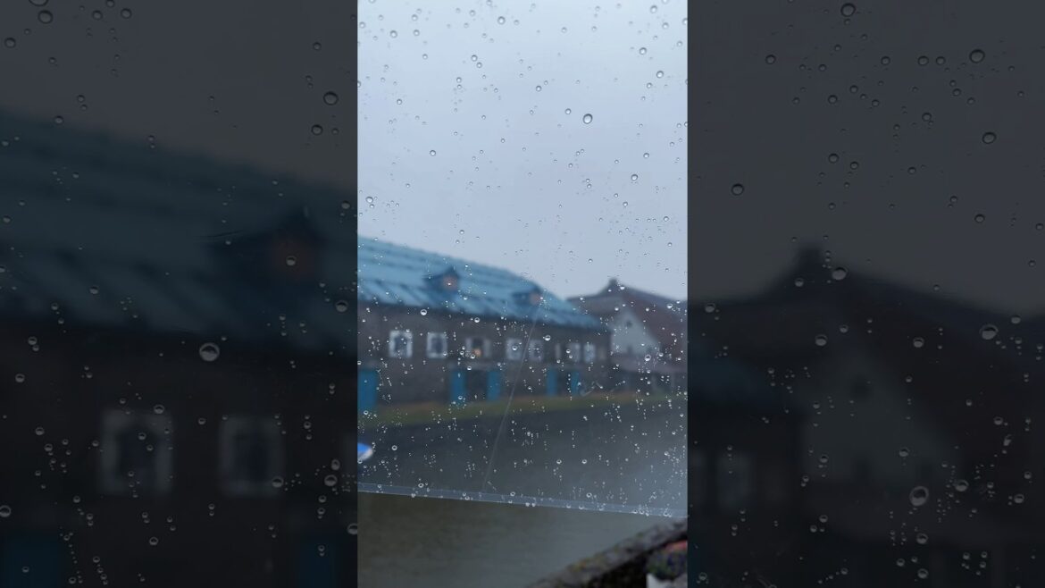 🇯🇵☔️ My #otaru day trip was ruined by the non-stop rain but at least I took one photo home📸️