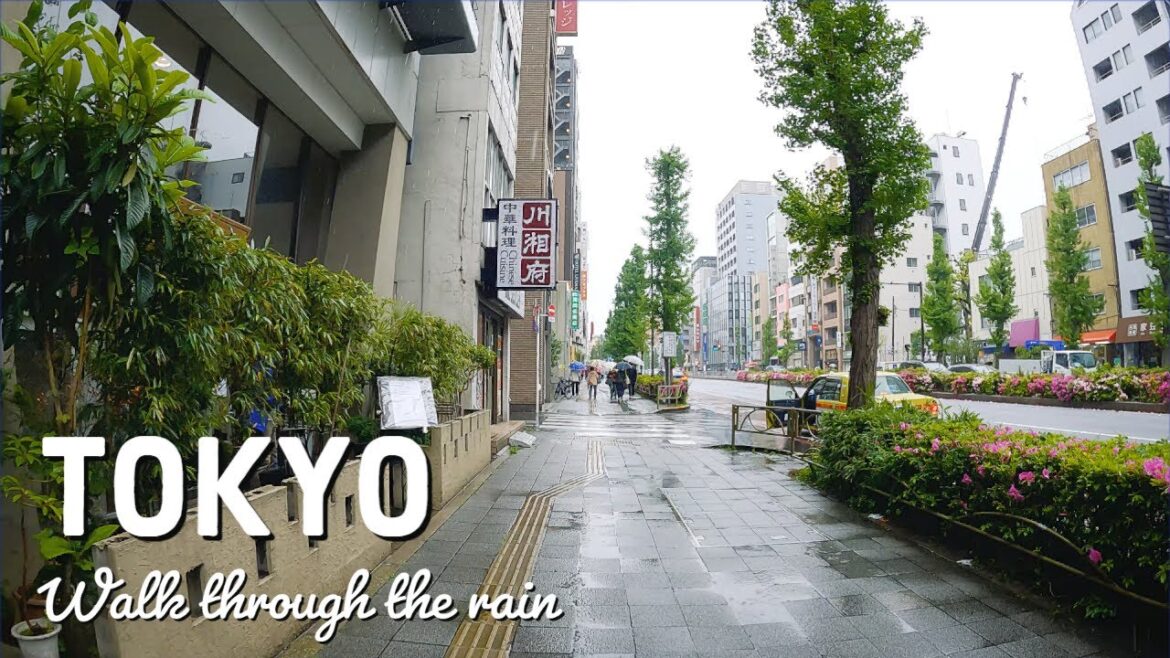 Walking through the rain in TOKYO, Japan in 4K