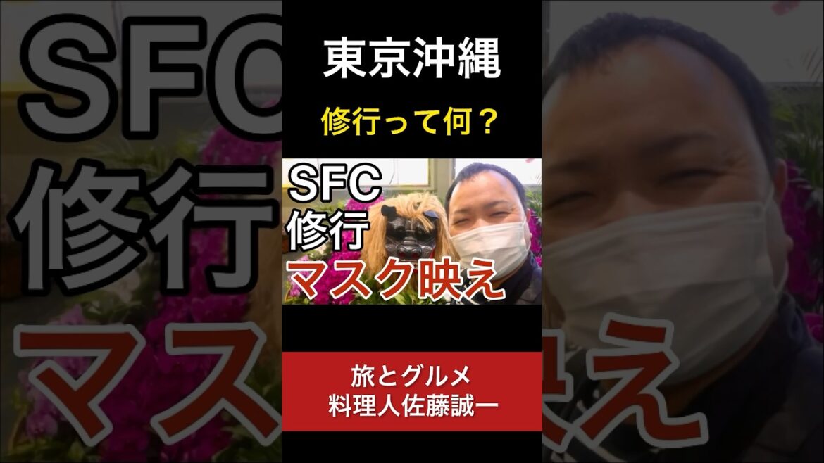 【SFC修行】マスク生活でマスク映え！羽田空港 ANA #Shorts