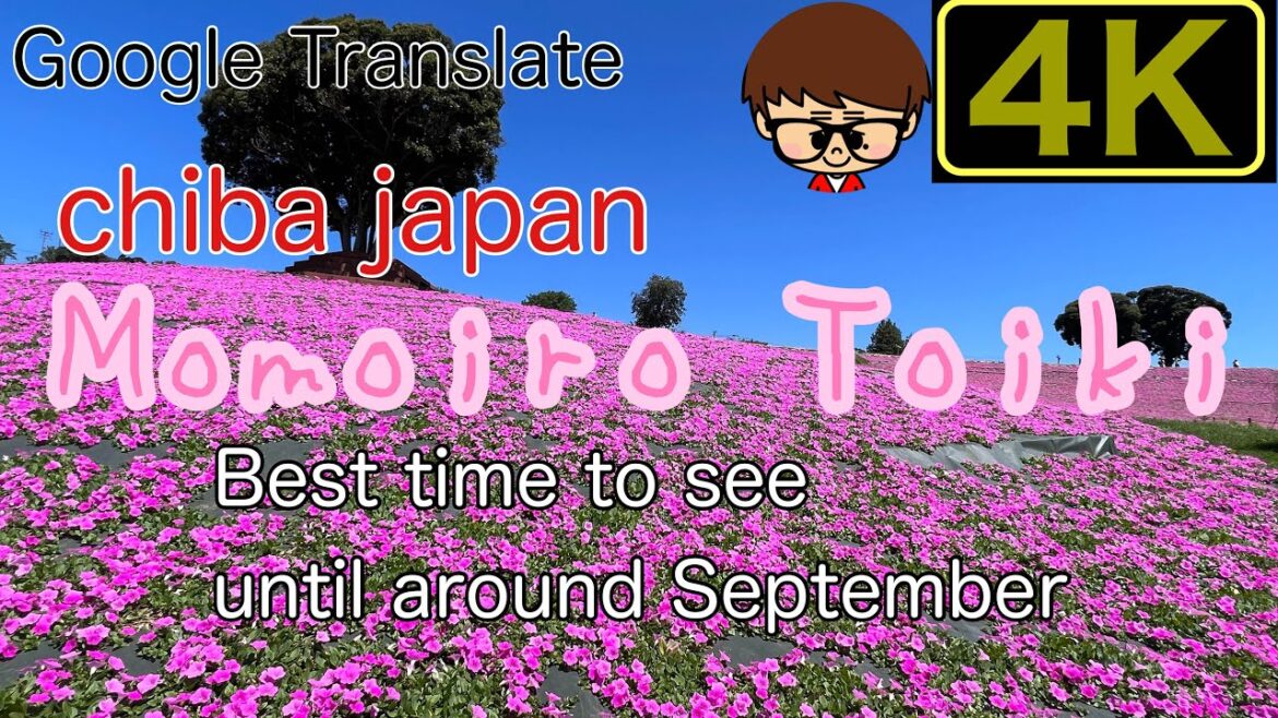 It is a very beautiful flower and animal paradise. It is a very beautiful flower and animal paradise.