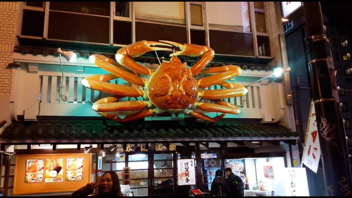 Japan Trip 2018 Highlight Reel Part 6