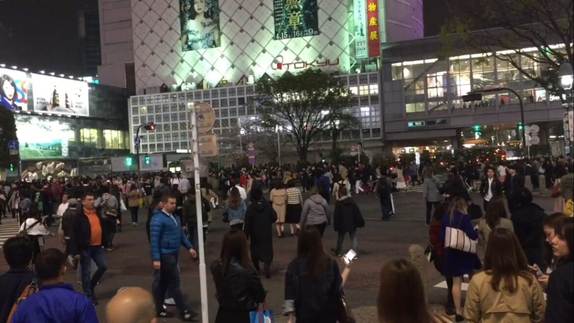 Shibuya crossing and a WILD tour of Tokyo Japan