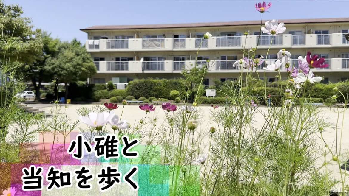 小碓と当知を歩く(Ousu and Touchi)｜名古屋市港区｜街歩き