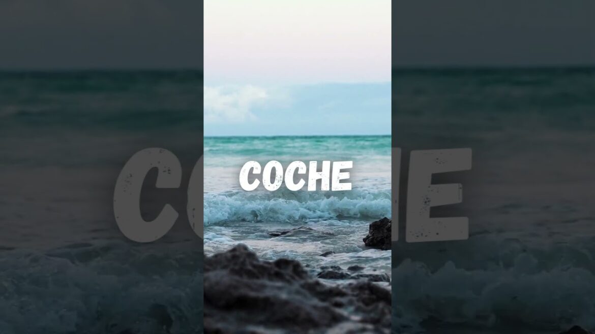 The Top Beaches : #venezuela #shorts #venezuelano #southamerica #brazil #passport #uruguay #travel The Top Beaches : #venezuela #shorts #venezuelano #southamerica #brazil #passport #uruguay #travel