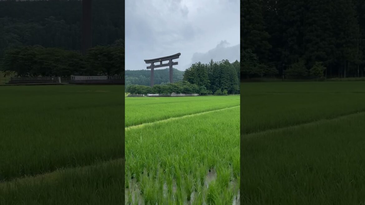 Kumano Kodo, Hongu Taisha #nature #travel #japan