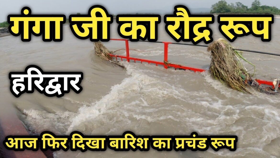 हरिद्वार में आज फिर हुई मूसलाधार बारिश दिखा गंगा जी का रौद्र रूप Haridwar Live, Haridwar Kawad Yatra
