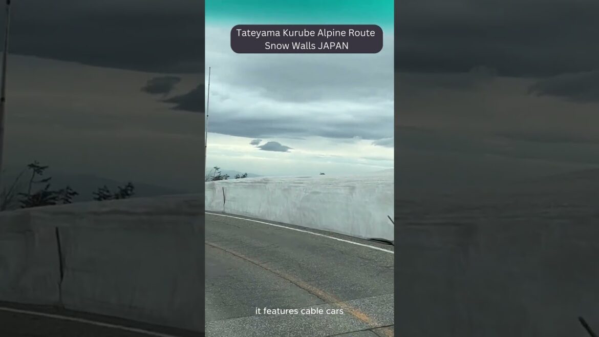 Tateyama Alpine Route JAPAN (Snow Walls)