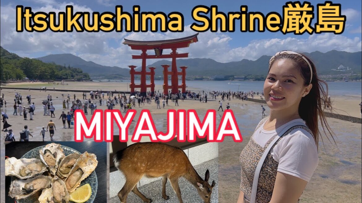 Miyajima Island Hiroshima/Itsukushima Shrine厳島The Ultimate Guide to Miyajima and the Great Tori Gate