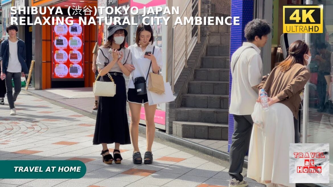 4k hdr japan travel | Walk in Shibuya (渋谷) Tokyo japan |  Relaxing Natural City ambience