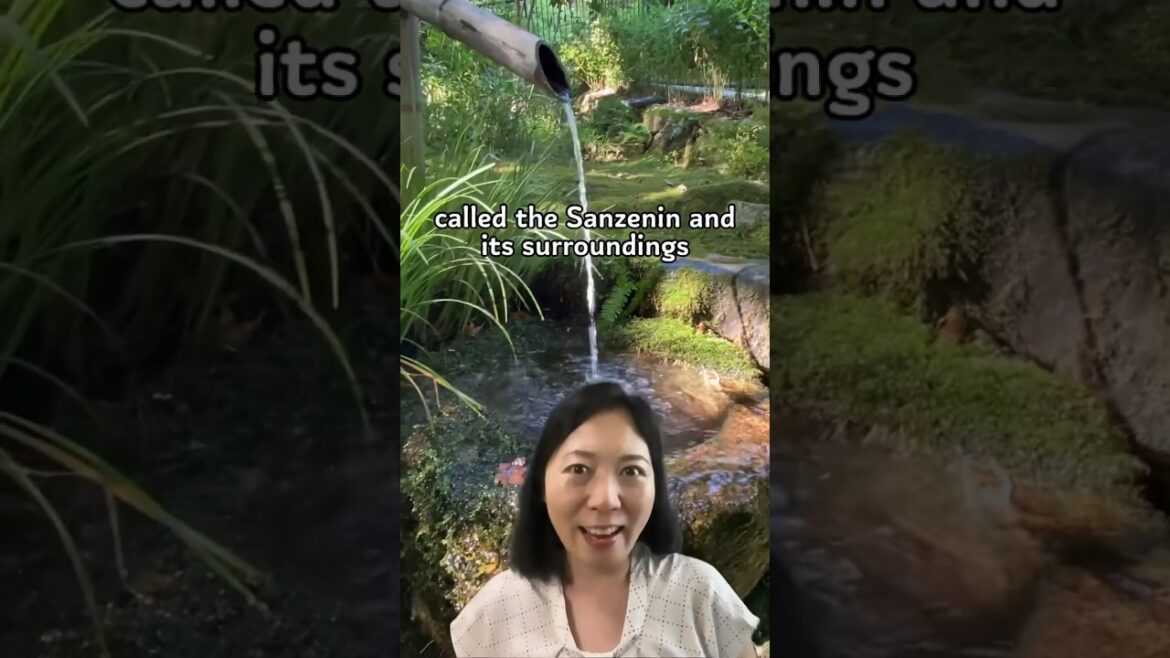 Kyoto Ohara Sanzenin walk ~beautiful Japanese garden