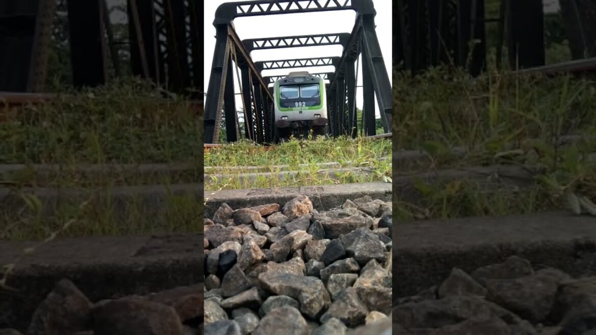 #shorts | sri lanka travel vlog | travel vlog | train status 💎❤️ #youtubeshorts #short #shorts | sri lanka travel vlog | travel vlog | train status 💎❤️ #youtubeshorts #short