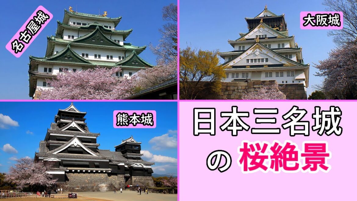 「日本三名城」の桜絶景！ / 名古屋城・大阪城・熊本城 ( 姫路城 ) / Cherry blossoms at the "Three Great Castles of Japan"