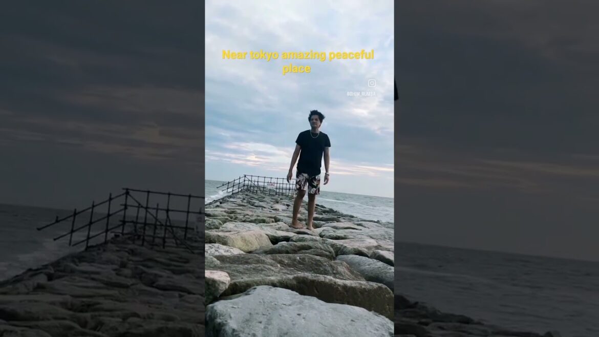 amazing peaceful place in chiba Japan #amazingview #travel #japanesecultur #japantrip #video #shorts