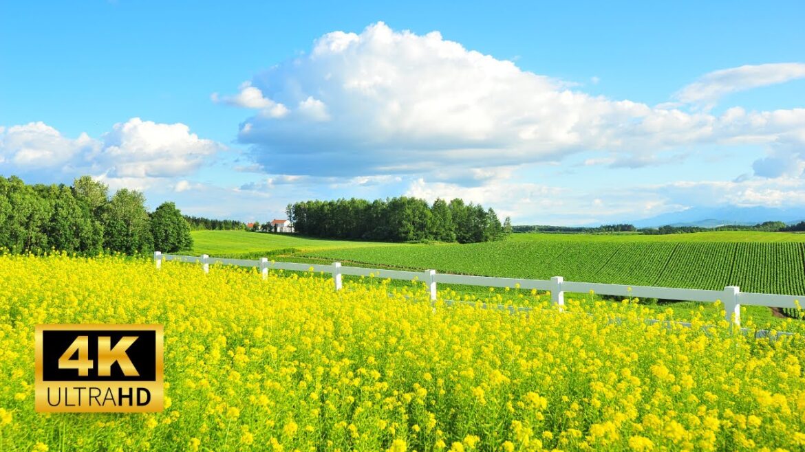HOKKAIDO JAPAN 4K: Serene Music for Stress Relief, Calming the Mind, and Restful Sleep