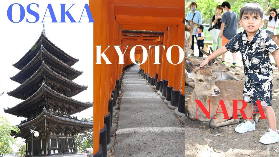 Osaka | Kyoto | Nara | 4 Days in Osaka | Exploring, sightseeing  and Day trips @Rajshubhavlogs