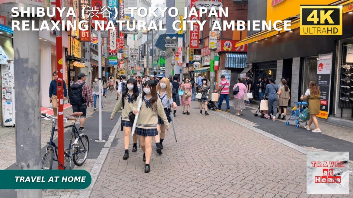 4k hdr japan travel | Walk in Shibuya (渋谷) Tokyo japan |  Relaxing Natural City ambience