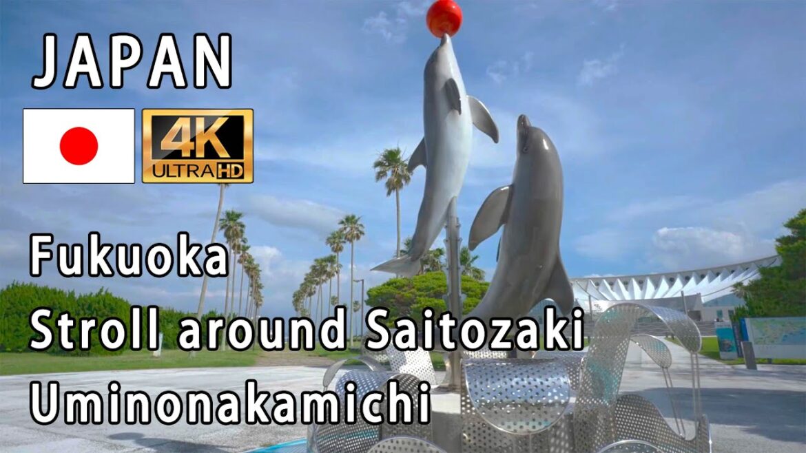 Japan Fukuoka Saitozaki(Uminonakamichi)