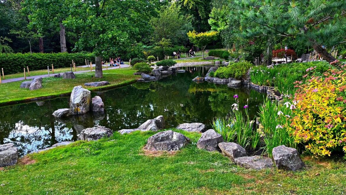 Exploring the Serene Splendor of Hyde Park: A Sunny 4K HDR Walking Tour with Ambient Sounds Exploring the Serene Splendor of Hyde Park: A Sunny 4K HDR Walking Tour with Ambient Sounds