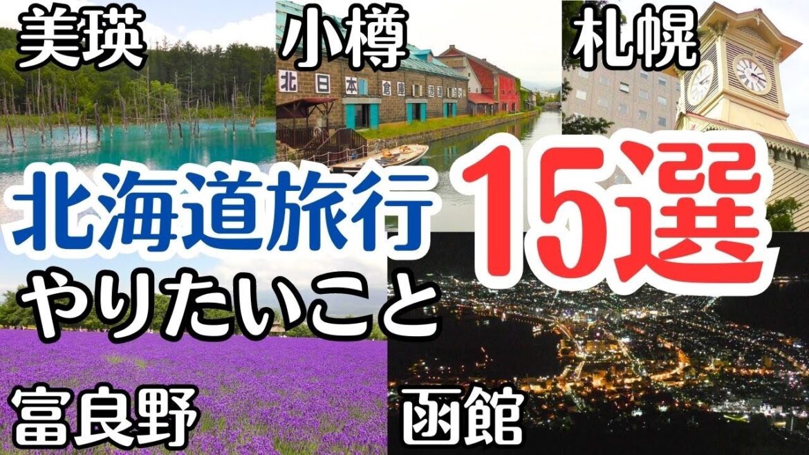 【北海道旅行vlog】3泊4日北海道観光&グルメ旅🛩車無しでも大満喫/函館/札幌/富良野/美瑛/小樽/青い池/ファーム富田 【北海道旅行vlog】3泊4日北海道観光&グルメ旅🛩車無しでも大満喫/函館/札幌/富良野/美瑛/小樽/青い池/ファーム富田