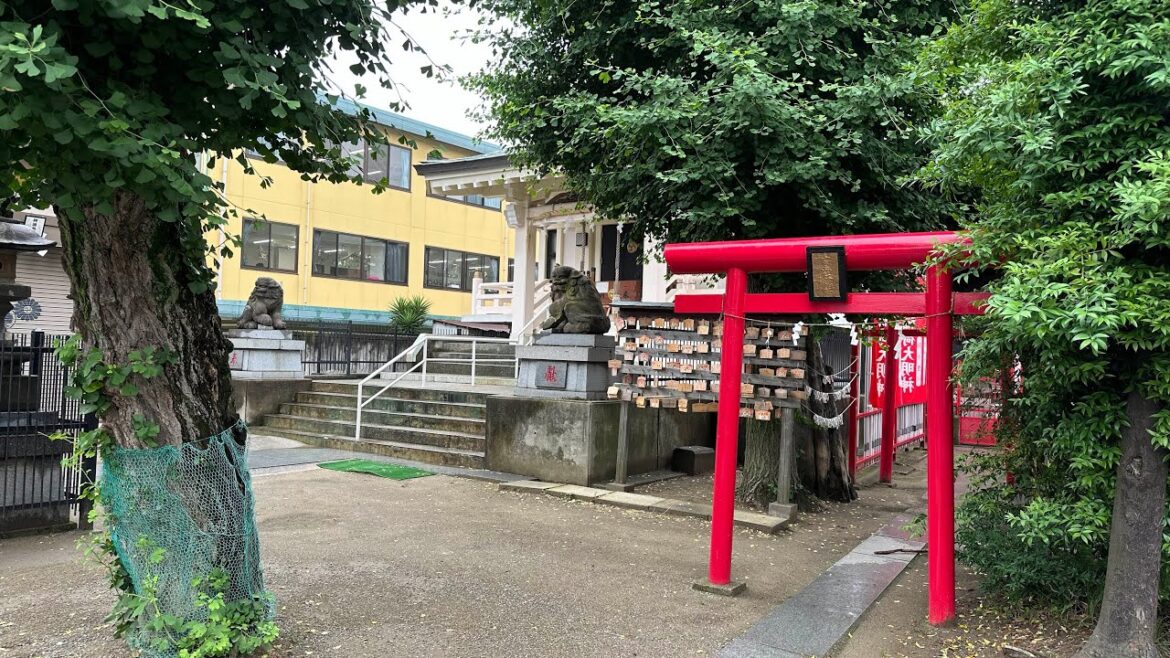 🔴 LIVE Exploring Chiba on a Rainy Monday Afternoon