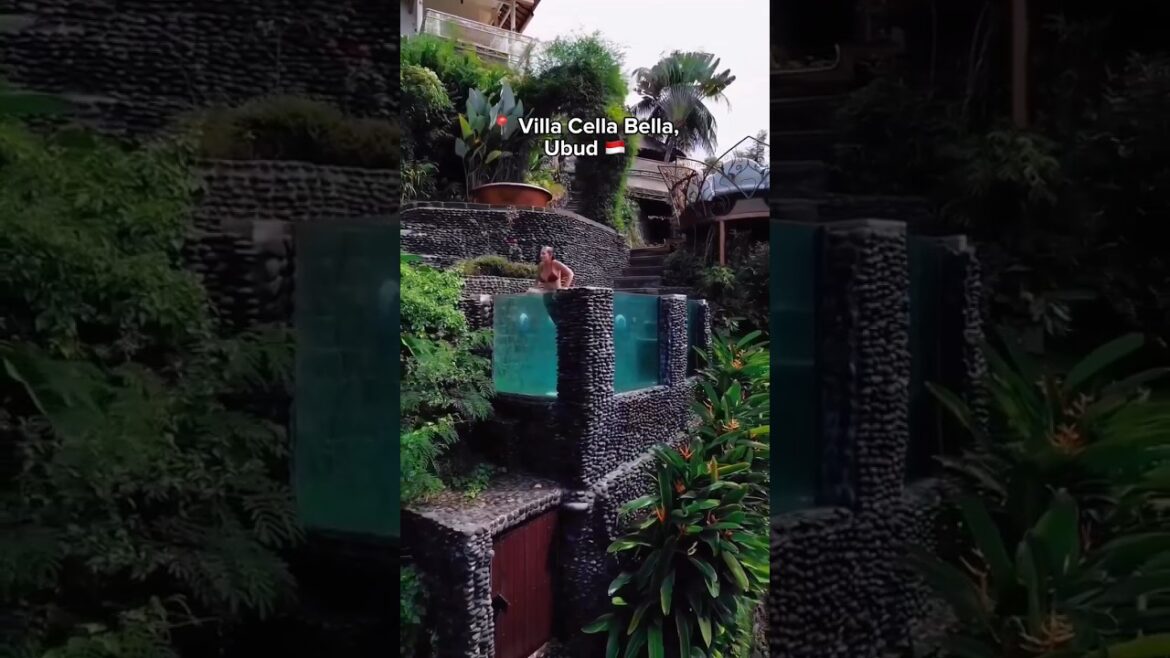 Exploring the World of Hotels✨🌴🌊🧳🥂🙌 #travel #explore #beautifulplaces #vacation #happyweekend#hotel Exploring the World of Hotels✨🌴🌊🧳🥂🙌 #travel #explore #beautifulplaces #vacation #happyweekend#hotel