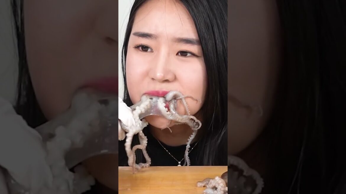 [4k] Live Octopus Eating