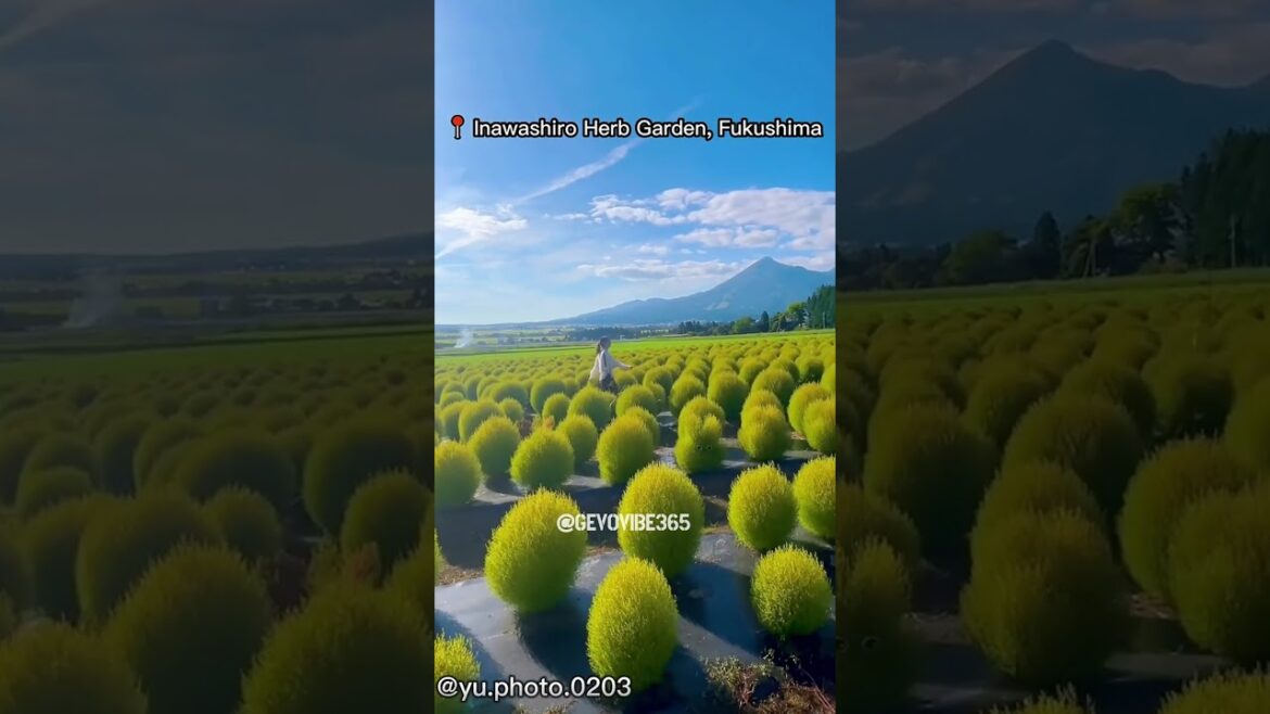 Most Beautiful Places in Japan🤩 #japan