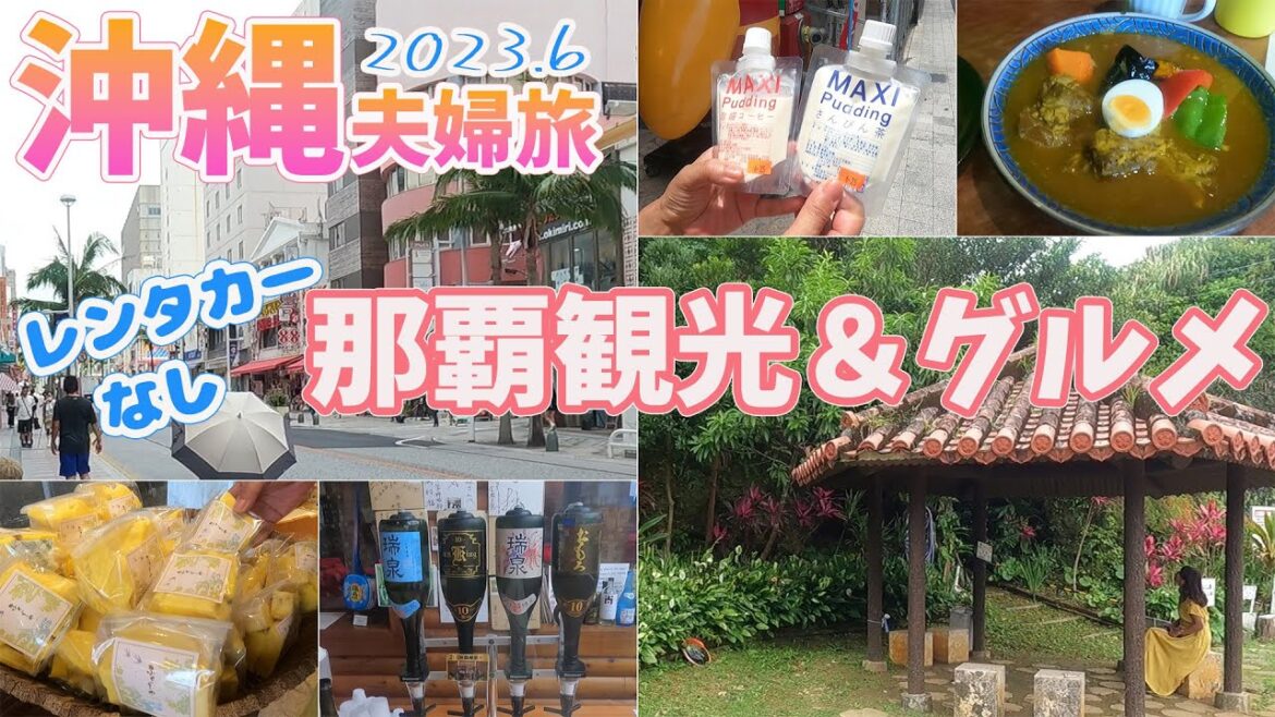 沖縄旅行vlog】１日目🌺ゆいレールで空港～国際通り～首里エリアを満喫🌺2023.6Vlog