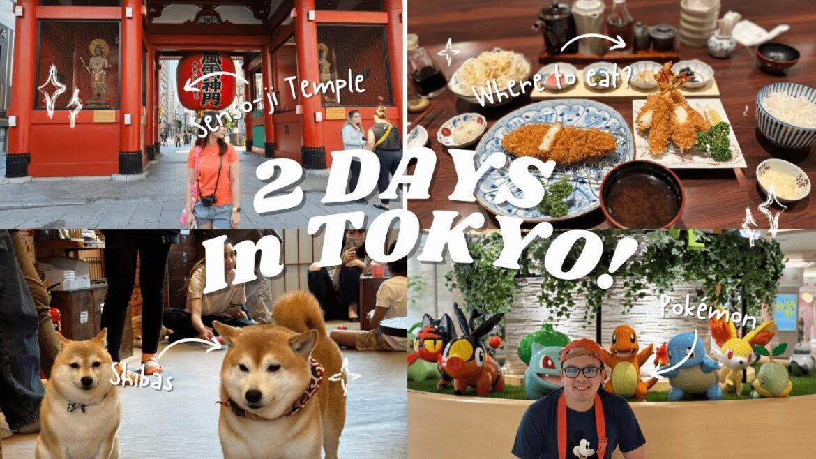 2 Days Itinerary in TOKYO & BEST PLACES TO EAT | Japan Travel Vlog Part 4