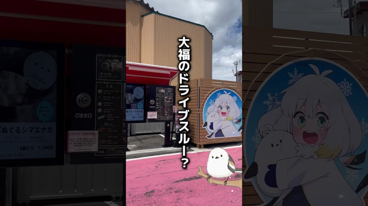 大福のドライブスルーw「シマエナガの焼き菓子が人気」イラストが可愛い北海道の和菓子屋へ #shorts
