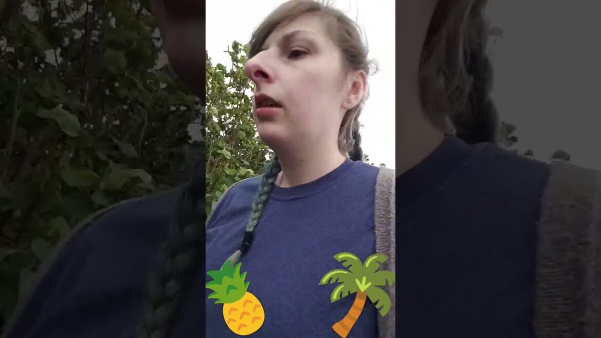 Jess, the Tour Guide #travel #pineapple #japan #okinawa #adventure #beachlife #beach  #island #sahm Jess, the Tour Guide #travel #pineapple #japan #okinawa #adventure #beachlife #beach  #island #sahm