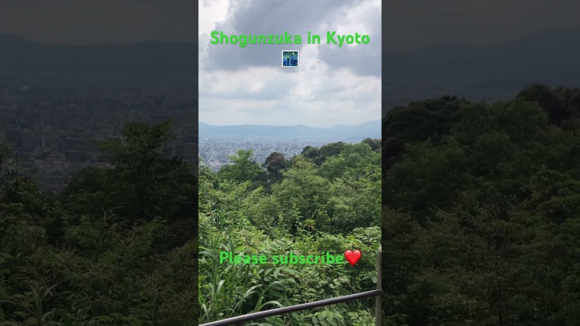【KYOTO 】Shougun Zuka #kyoto #shorts #japan #travel #pleasesubscribe #walking #trip #nightview 【KYOTO 】Shougun Zuka #kyoto #shorts #japan #travel #pleasesubscribe #walking #trip #nightview