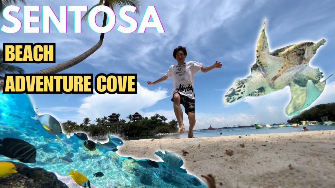 Best Day Out at SENTOSA Beach and Adventure Cove in Singapore! Snorkel with Fish