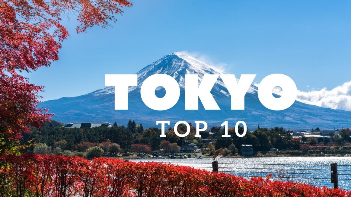 Best places To Visit In Tokyo | Japan | 4k