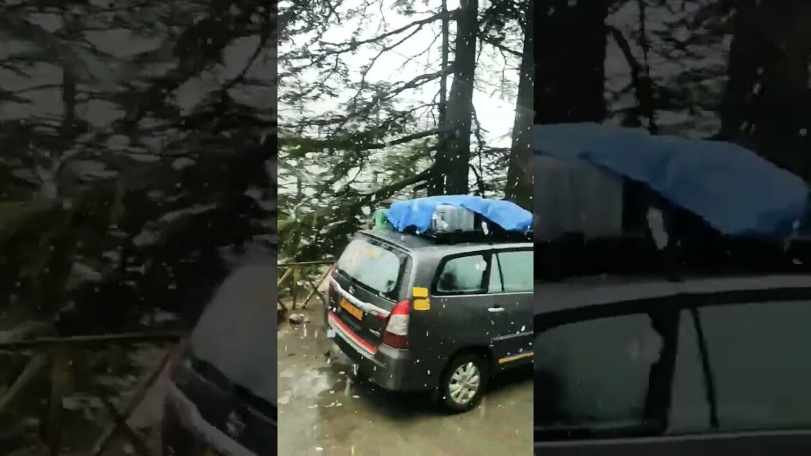 Dream Place | Gangotri In Snow 🌨️🌨️