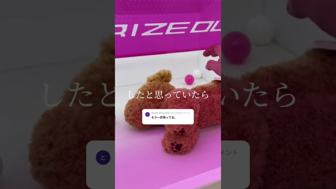 ゲームセンターに来てみたら「もう一匹残ってる」取り残された犬の末路 #shorts