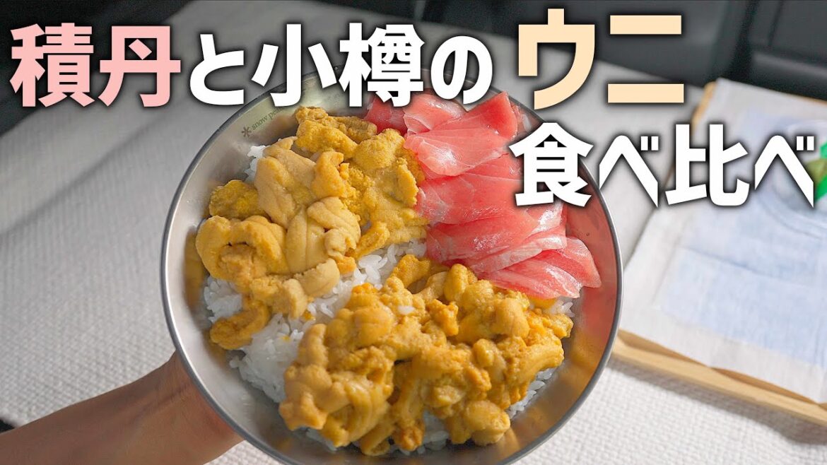 【積丹のウニ】夏の北海道絶品グルメ積丹のウニと小樽のウニを食べ比べ!市場で買った食材でウニメインの海鮮丼を 【積丹のウニ】夏の北海道絶品グルメ積丹のウニと小樽のウニを食べ比べ!市場で買った食材でウニメインの海鮮丼を