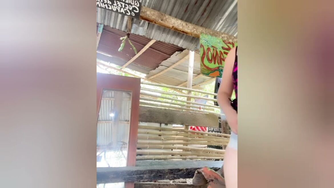 Exploring the Enchanting Streets of Kyoto: A Journey through Japan's Cultural Heart