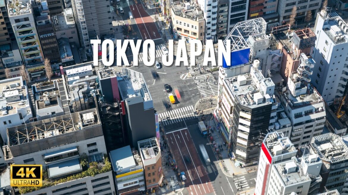 Aerial Delight: Exploring Central Tokyo with Breathtaking Views of Mount Fuji, Japan