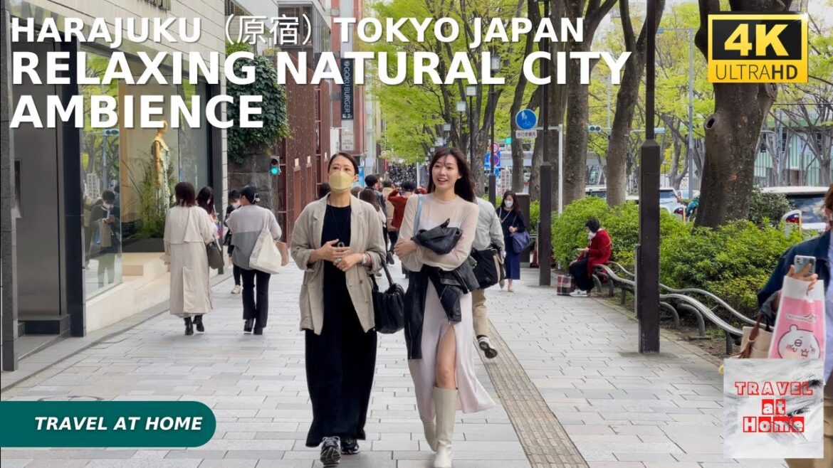 4k hdr japan travel | Walk in Harajuku(原宿)Tokyo japan | Relaxing Natural City ambience 4k hdr japan travel | Walk in Harajuku(原宿)Tokyo japan | Relaxing Natural City ambience
