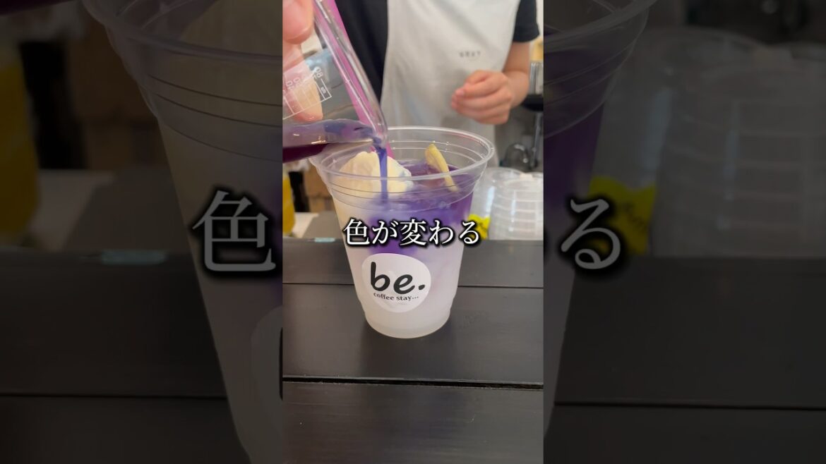 色が変わる映えドリンク「モクテル」乳酸炭酸とバタフライピーティーのノンアルカクテルが夏にぴったり #shorts 色が変わる映えドリンク「モクテル」乳酸炭酸とバタフライピーティーのノンアルカクテルが夏にぴったり #shorts