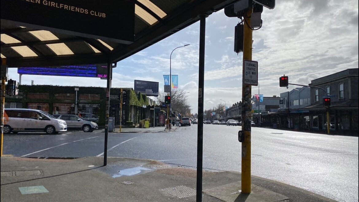 Matariki Walk in Ponsonby 🇳🇿LIVE from Aotearoa New Zealand Matariki Walk in Ponsonby 🇳🇿LIVE from Aotearoa New Zealand