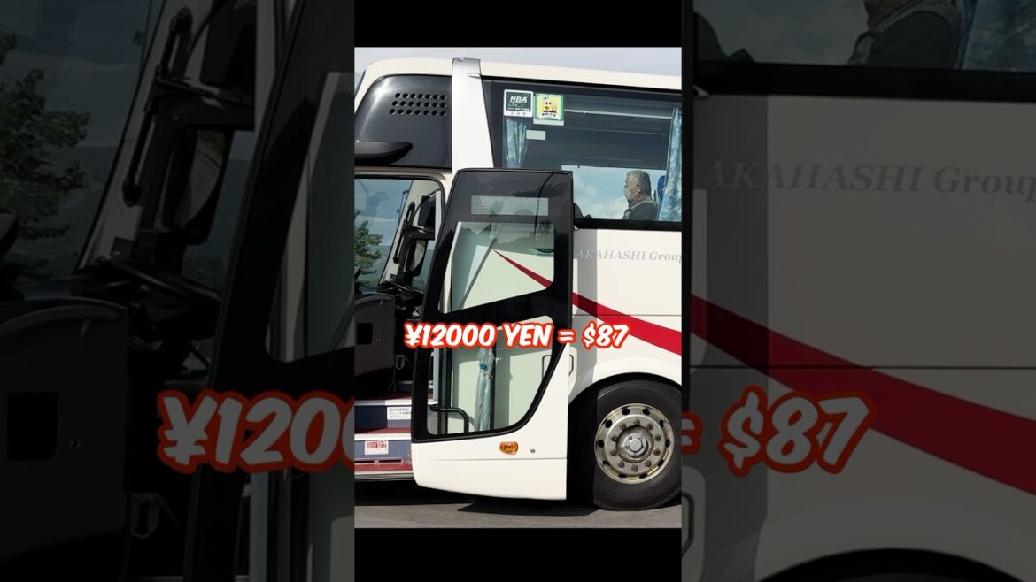 Peek Into a 6-hour Japanese Bus Journey #japan #shorts