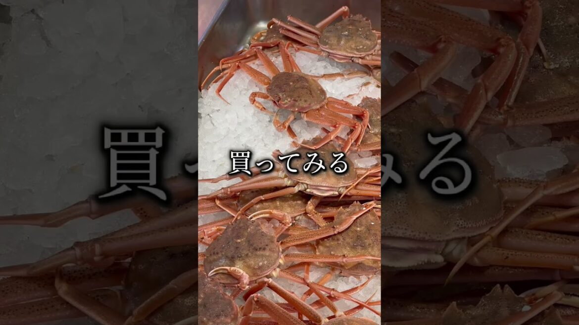 活ずわいがに198円は安すぎた「ツンツンすなw」蟹汁にして食した日 #shorts